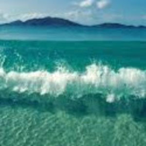 Meet your Posher, Sofia